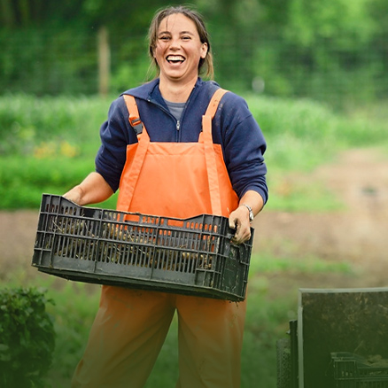 Agriculture(Crops)
